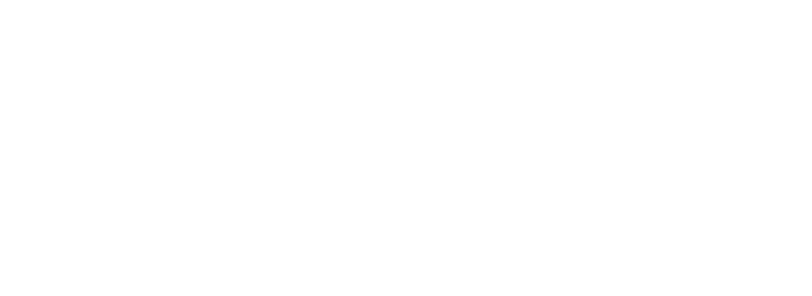 Literary Universe logo